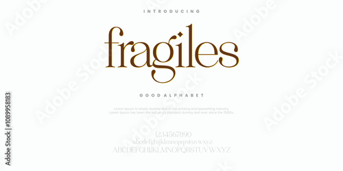 Fragiles abstract Fashion font alphabet. Typography typeface uppercase lowercase and number. vector illustration