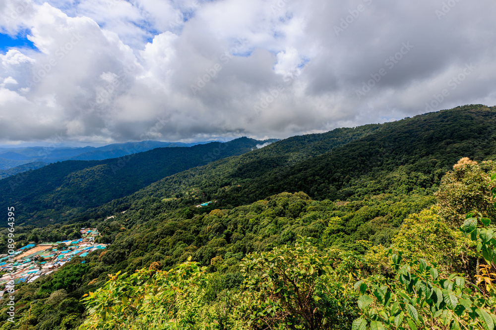 Obraz premium Background of a natural travel landscape with fog covering the road, clear sky from the viewpoint, various trees and cool breeze.