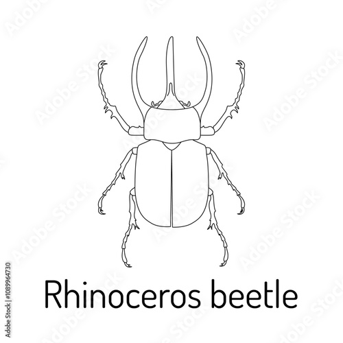 Rhinoceros beetle. Illustration for educational materials, coloring pages, science projects and entomological studies. Ideal for nature-related content, biology projects and insects.