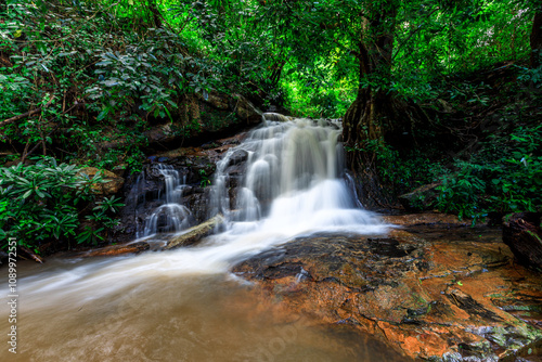 The natural background of a waterfall flowing from a height through rocks and various trees. The richness of the ecosystem and pure oxygen for breathing.