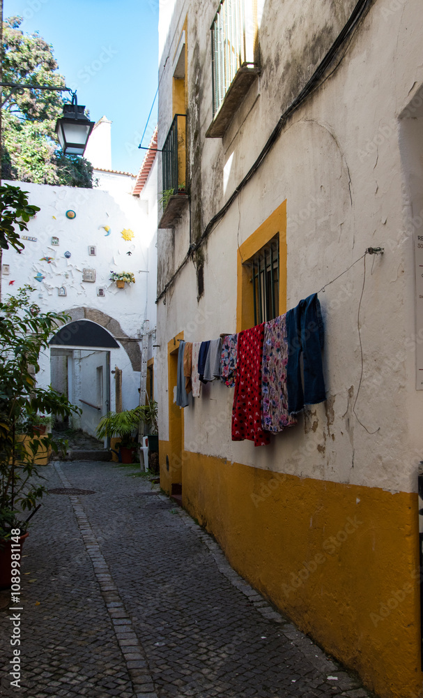Fototapeta premium Narrow cobblestone roads and buildings were built close to fend off the hot sun in historical Portugal towns.