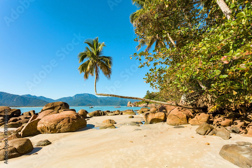 Praia do Aventureiro beach, view of this tropical paradise on Ilha Grande with famous palm, crooked coconut near the city of Angra dos Reis in Rio de Janeiro, Brazil photo