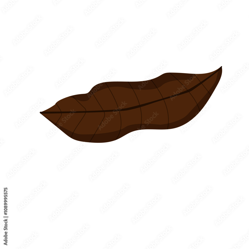 Fototapeta premium The Brown or Dried Leaf