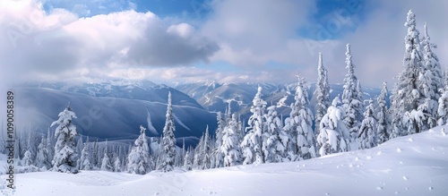 Winter Frost and Snow-Covered Pine Trees on Mountainside photo