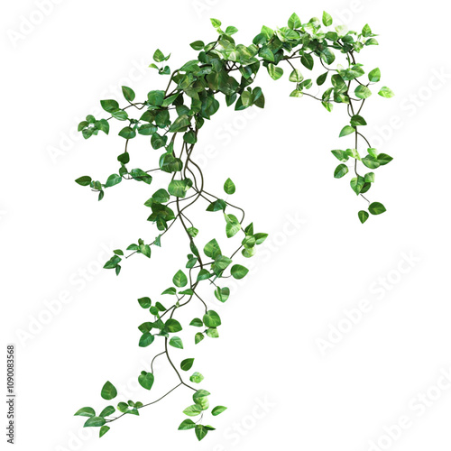 jungle vines isolated on transparent background	