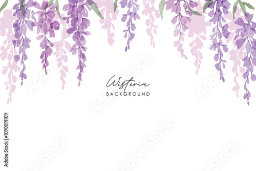Watercolor of wisteria, isolated on a white background. Floral frame. Watercolor Pink and purple wisteria illustration isolated on a white background.