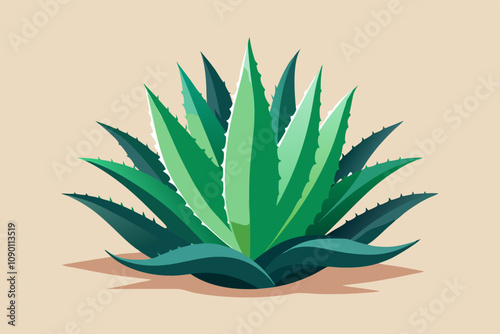  Herb aloe vera plant vector art illustration