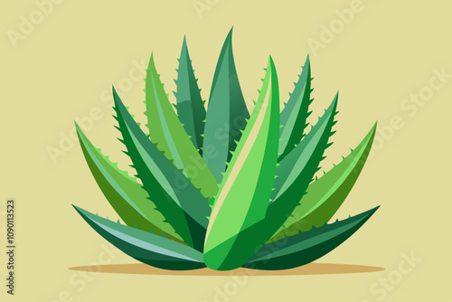  Herb aloe vera plant vector art illustration