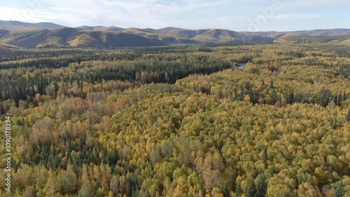 Scenic autumn in Alaska’s northwest, featuring a winding river, vibrant foliage, and clear sunny skies from above photo