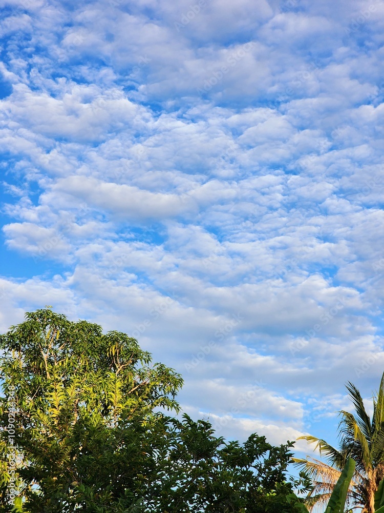 Obraz premium sky and clouds