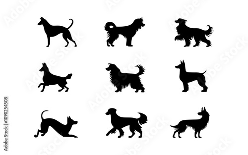 vector collection of dog animal silhouette illustrations