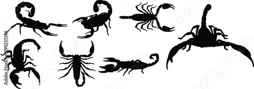 Set of scorpion insect animal silhouette illustration