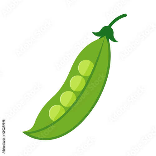 Mangetout vector illustration