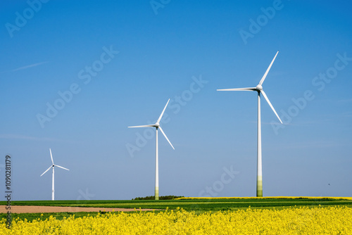 Three wind turbines with a flowering canola field seen in Germany photo