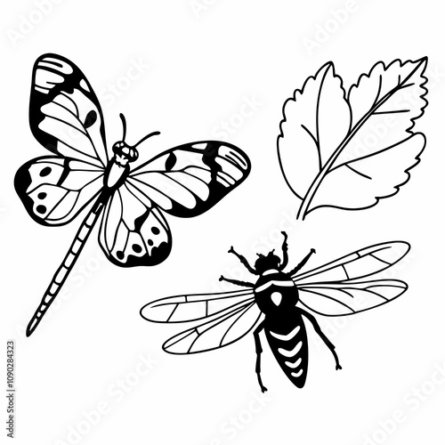 many kinds of insects illustrations vector art white background isolated art.