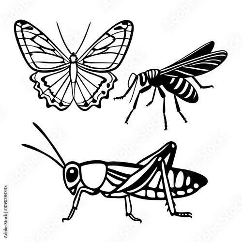 many kinds of insects illustrations vector art white background isolated art.