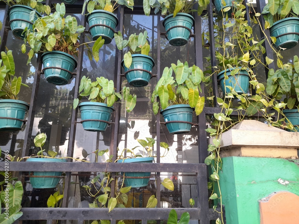 Fototapeta premium view of plant pots from a distance. Home interior background concept, decoration, modern agriculture, nature, view, landscape, aquaponics, hobby, lifestyle, green space, hydroponic