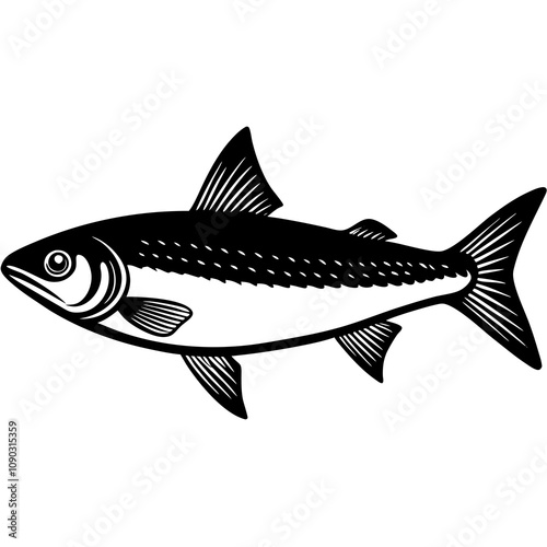 herring fish isolated on white