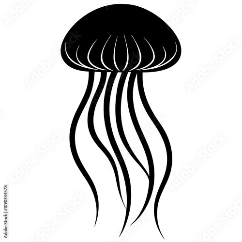 jellyfish on white