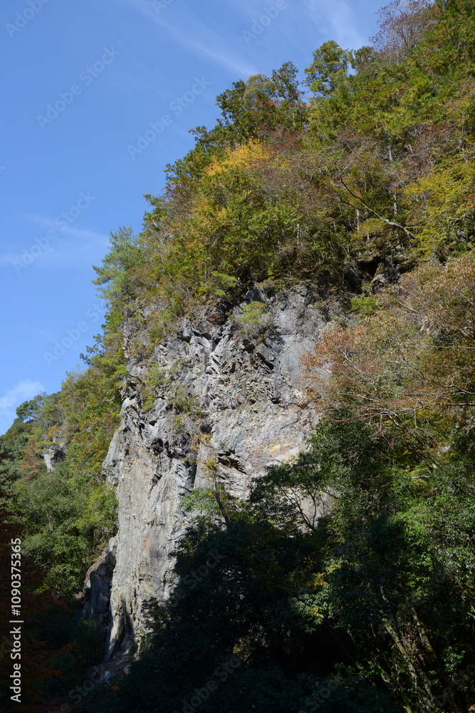 高雄 清滝川の岸壁 京都市右京区梅ヶ畑 高雄 清滝川の岸壁 京都市右京区梅ヶ畑