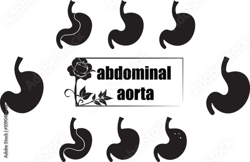 Abdominal aorta silhouette vector design 