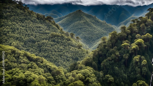 The lush valley of lamington national park with rainforest waterfalls and mountains in the background, Ai Generated photo