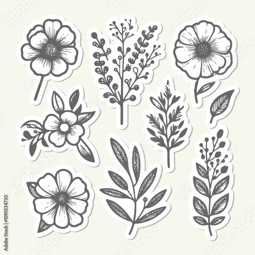 Set of hand drawn floral elements. Vector illustration for your design.