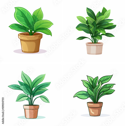 Plant in pot Potted plant Indoor plant Houseplant Decorative pot Green plant Pottery planter Plant