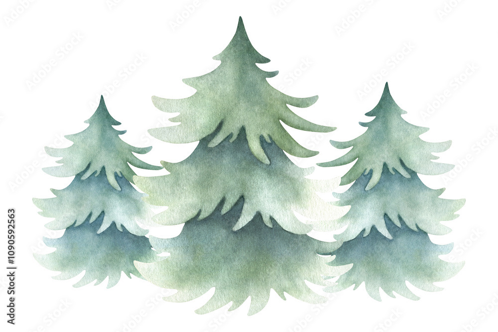 Obraz premium Spruces composition in simple style. Hand drawn watercolor isolated illustration three lush fir trees for Christmas and Happy New Year greeting cards template, festive packaging and landscape designs.