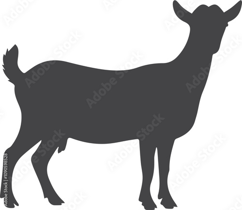Nigerian Dwarf Goat SVG Vector Silhouette, Show Goat Silhouette Illustration