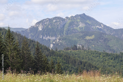 Obraz na płótnie
nature landscape in the mountains with trees and mountain peaks w salonie