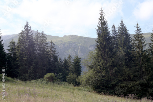 Wallpaper Mural 
mountain nature landscape with trees and clouds Torontodigital.ca
