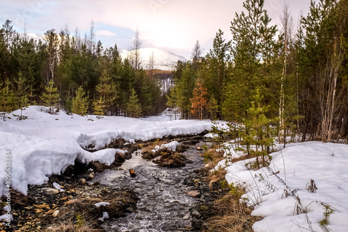 cane in ice and snow on the mountain river photo