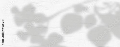 Glare from the sun's rays on the wall. Blurred shadows from leaves and plants in the room. Soft overlay of natural light. Abstract background for product presentation.