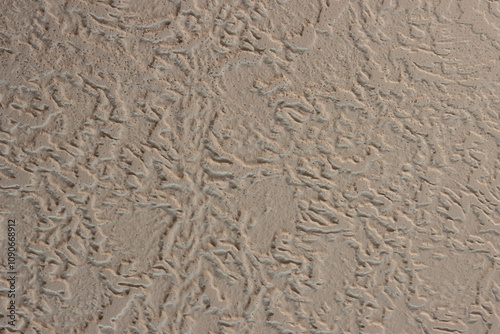texture background