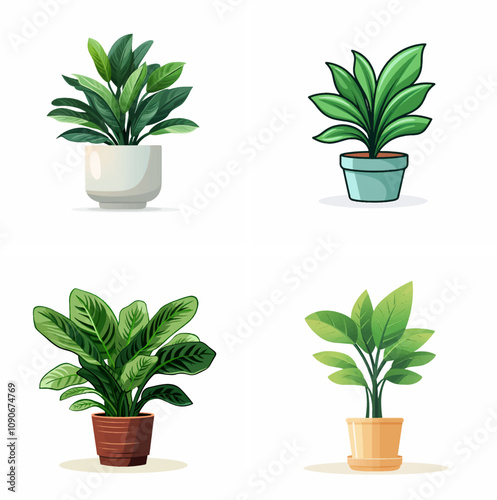 houseplant indoor plant potted plant home gardening indoor greenery plant care succulent plant pot