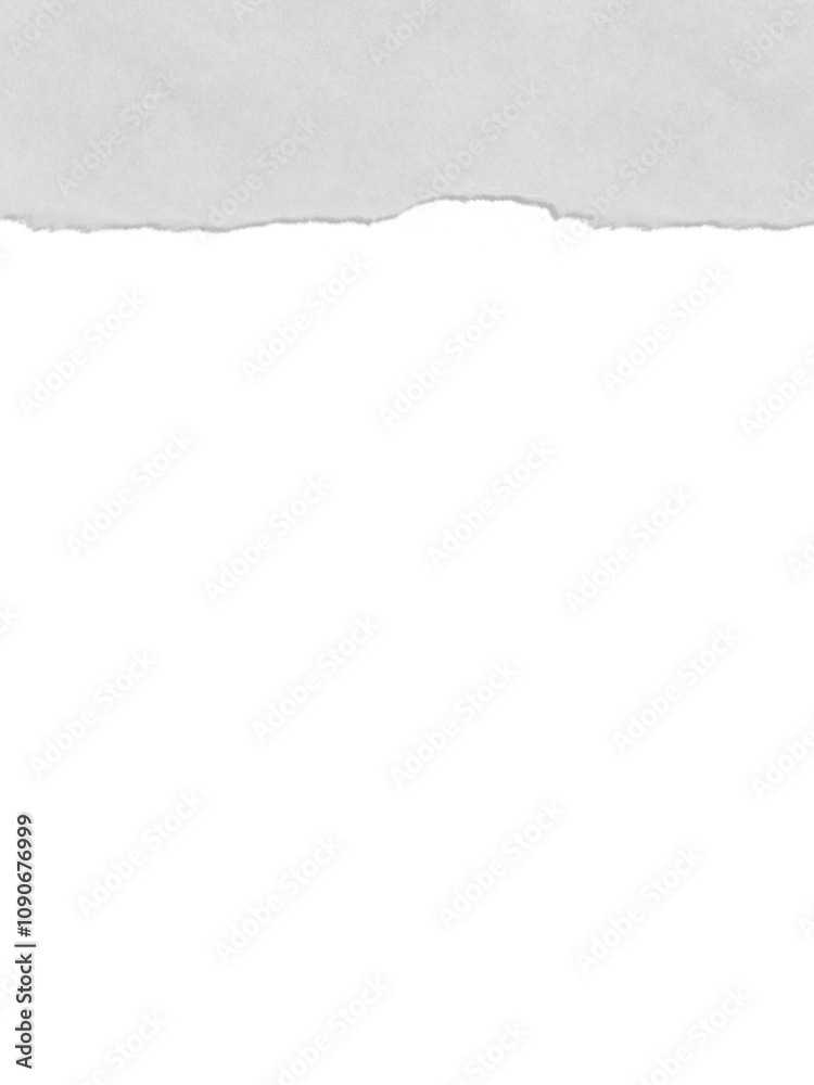 Fototapeta premium Ripped torn paper edges