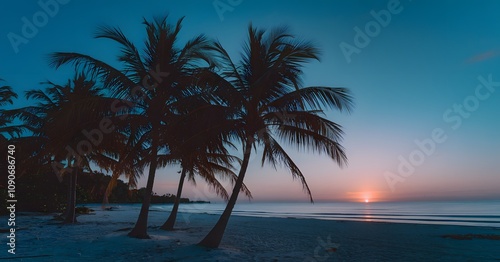 Serene beach sunset with tall palms and calm ocean waves