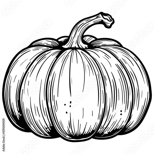 Pumpkin Vector Illustration | Autumn & Halloween Clipart