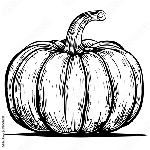 Pumpkin Vector Illustration | Autumn & Halloween Clipart