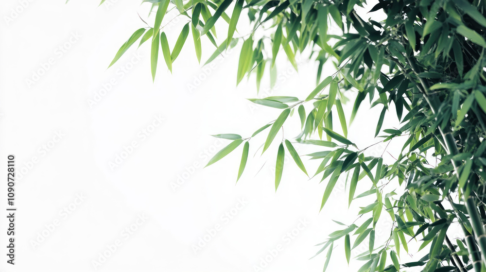 Fototapeta premium Bamboo forest background with green leaves and a tropical nature vibe