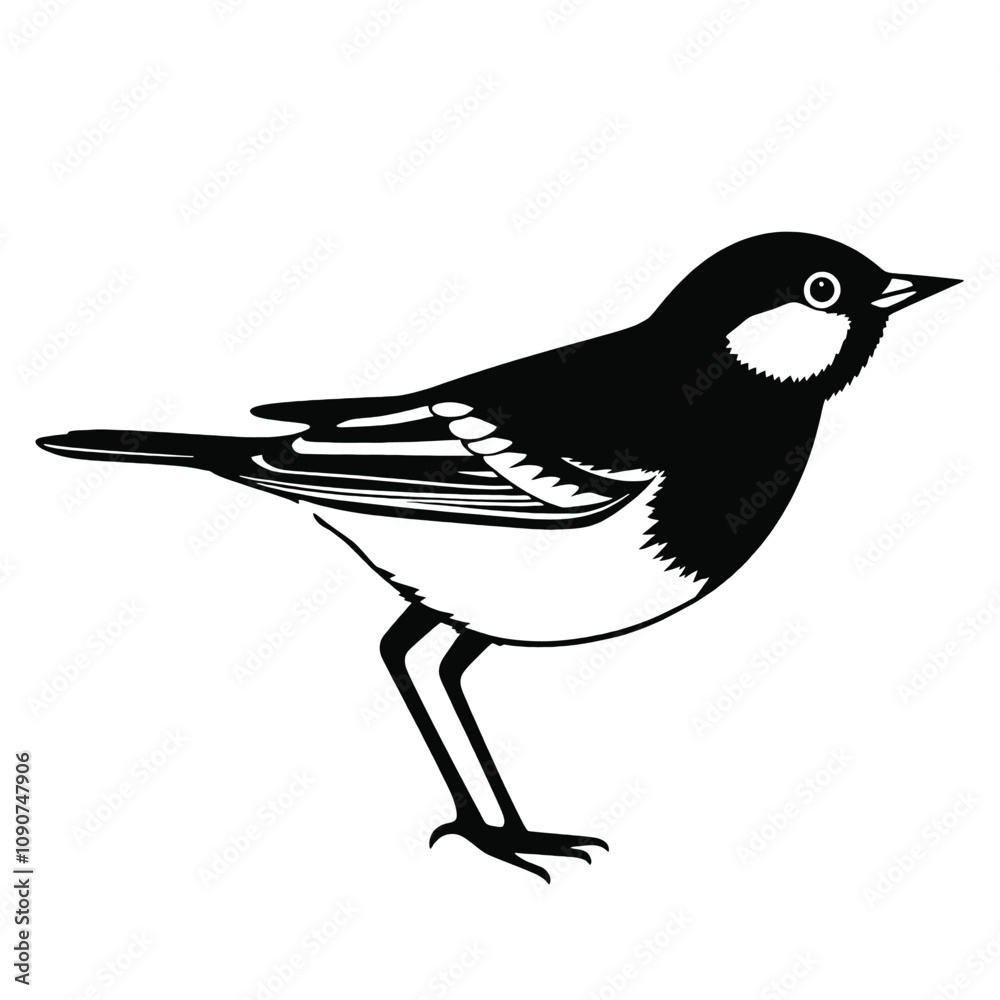 Obraz premium two black and white illustration of a small bird