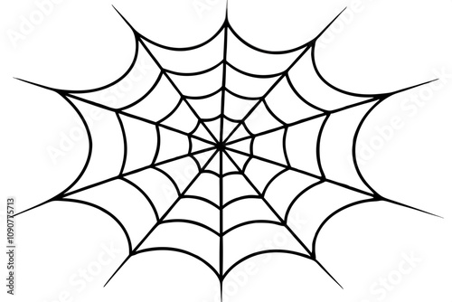 spider web on white.