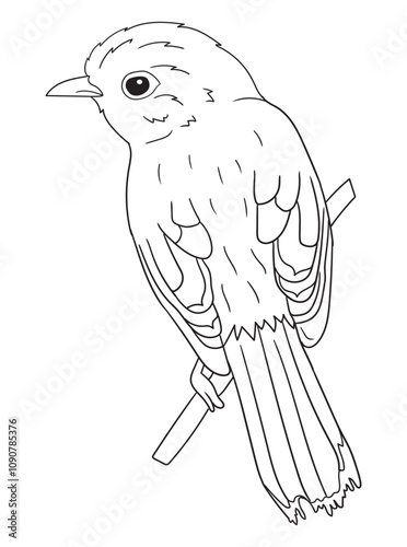 Black and white bird illustration perfect for coloring books, adult coloring pages, or creative art projects. Features intricate details and nature-inspired design