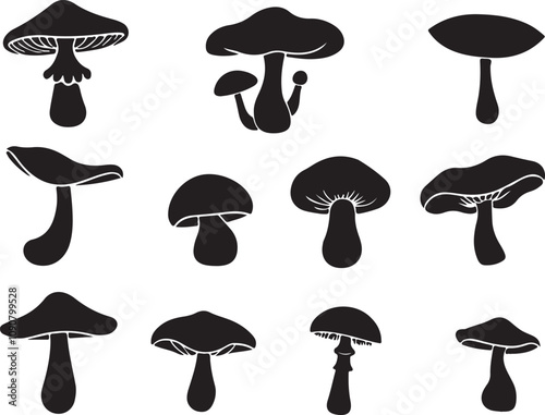 Collection of twelve distinct mushroom silhouettes. Mushroom set vector.