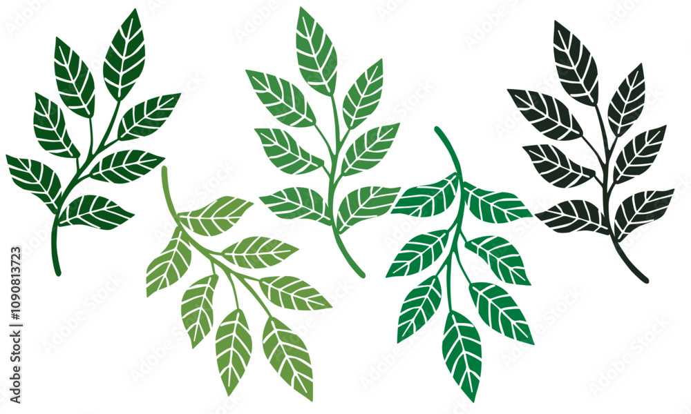 Fototapeta premium Vector Illustration 7 leaves White Background