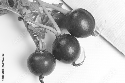 Fresh Radishes, Close Up Food Photography photo