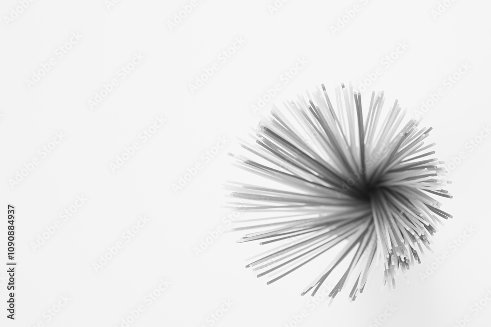 Spaghetti Dish with Background Spaghetti Dish with Background