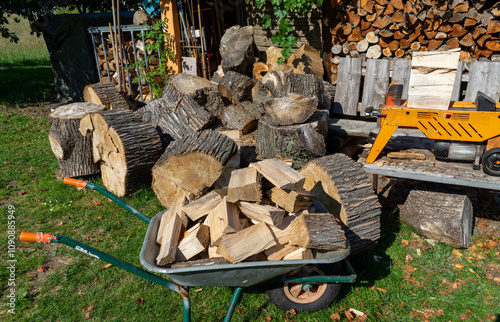 Split wood for the fireplace with a log splitter for the winter