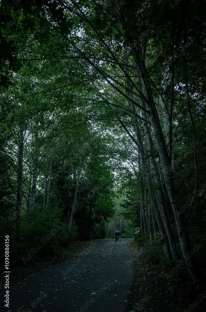 Obraz premium Bikers riding on a scenic forest road in Redmond, Washington, USA.